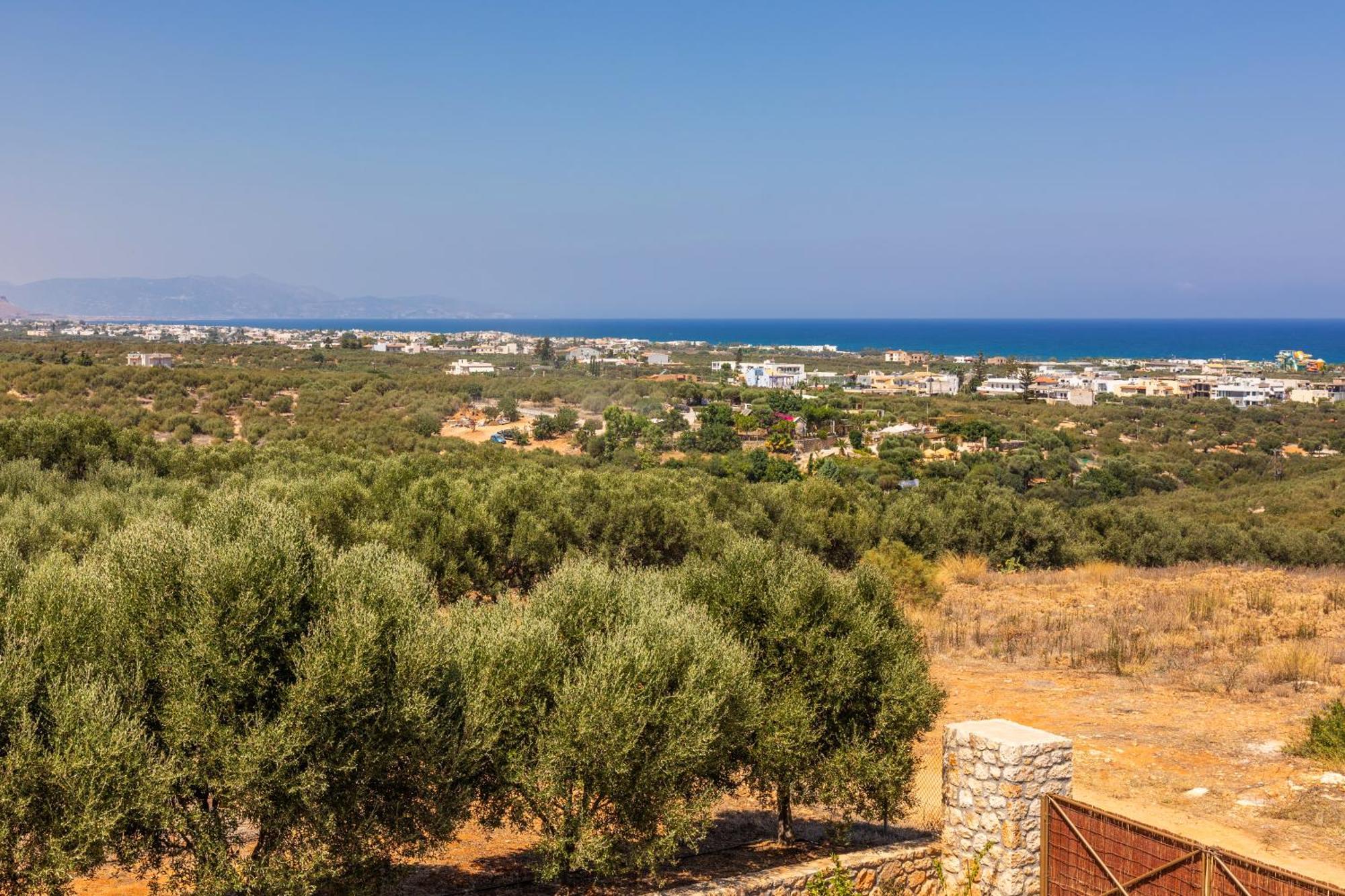 Γηorganic Farm And Houses. Hersonissos  Exterior foto